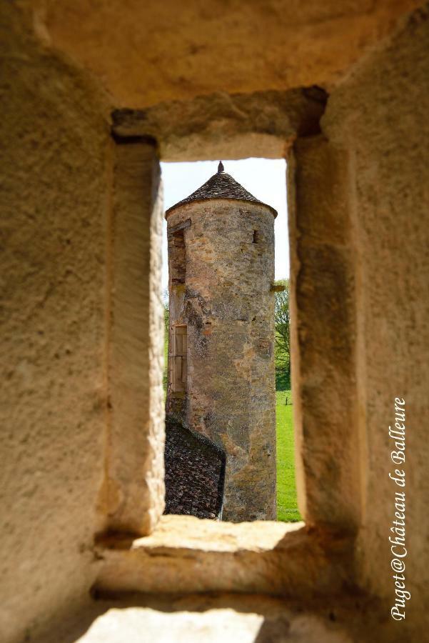 Etrigny Chateau De Balleure מראה חיצוני תמונה