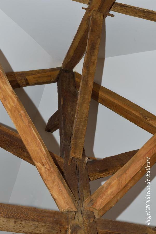 Etrigny Chateau De Balleure מראה חיצוני תמונה